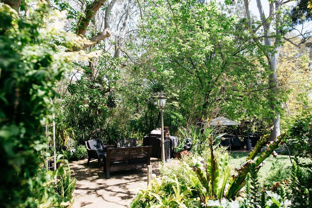 Possum Creek Lodge Gooseberry Hill Екстер'єр фото
